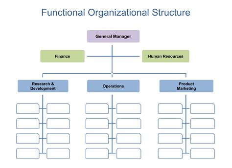 organizational chart template word|blank organizational charts free.